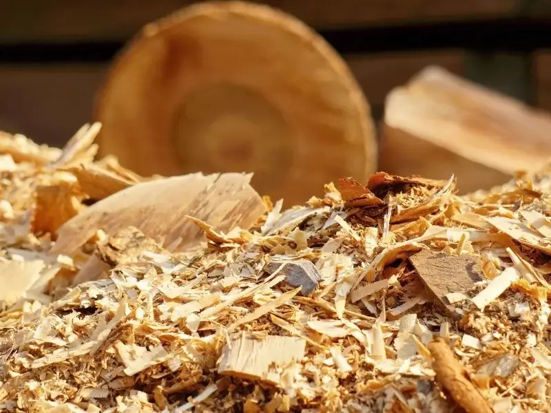 Wszystko do obrobki drewna