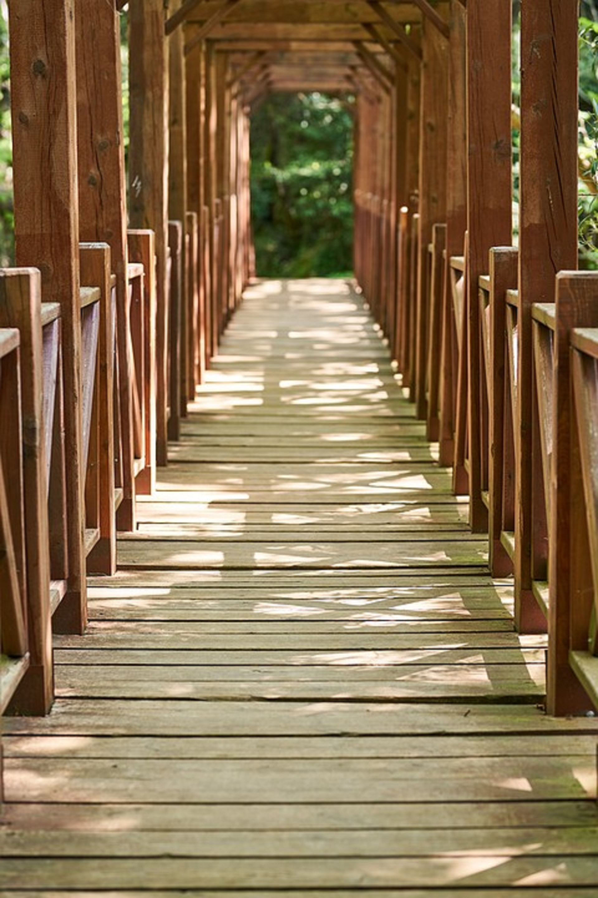 More wooden most wooden. Деревянный мост. Деревянный мостик. Красивый деревянный мост. Деревянные мостовые.